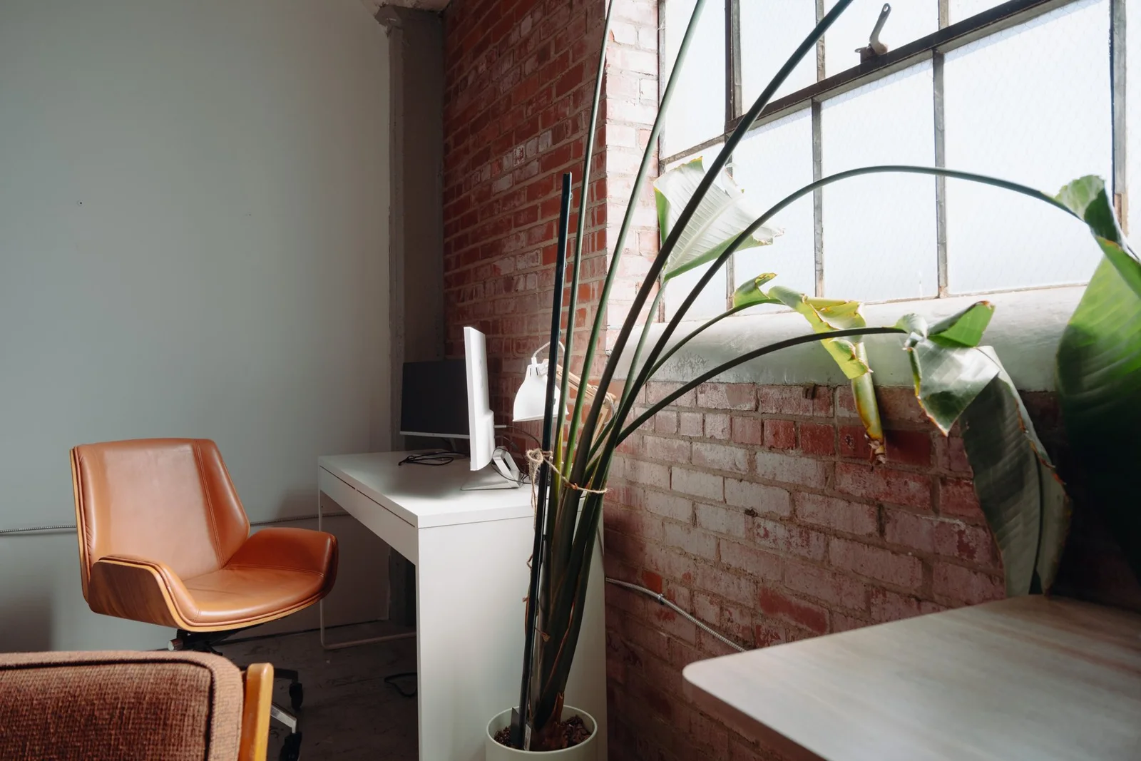Plants and a leather chair beside an industrial window