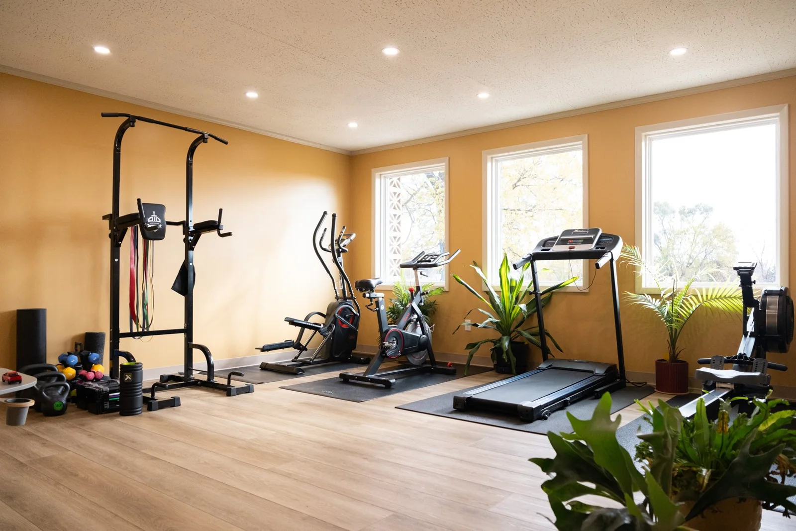An exercise space with plants and warm wood walls
